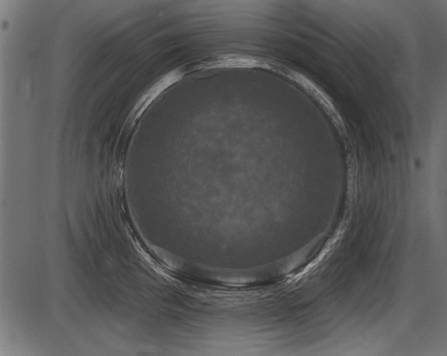 X0000087631193200705031438