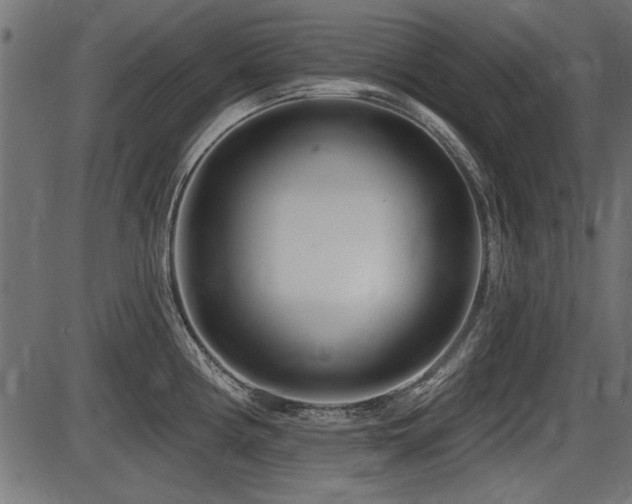 X0000087631194200705031438
