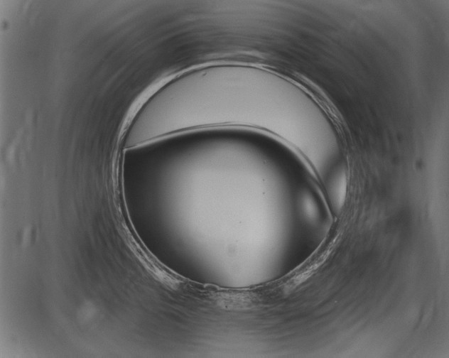 X0000087631196200705031437