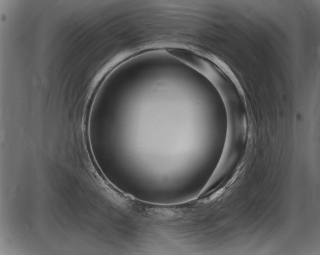 X0000087631197200705031437