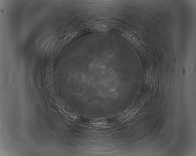 X0000087631201200705031437