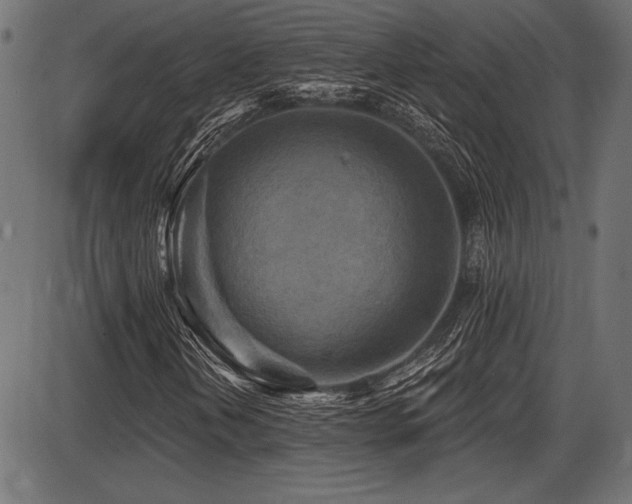 X0000087631202200705031437