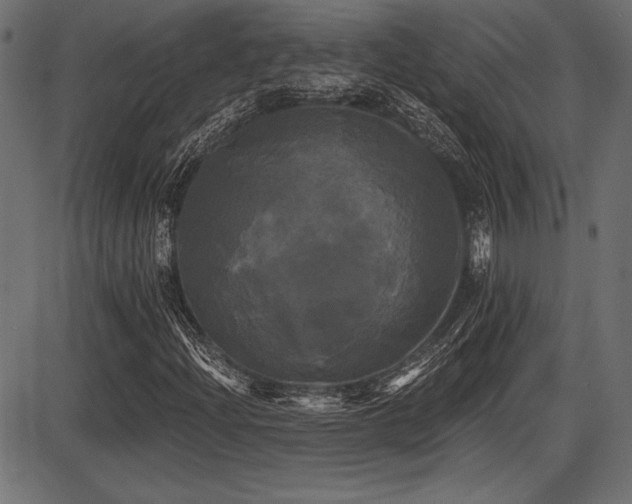 X0000087631204200705031437
