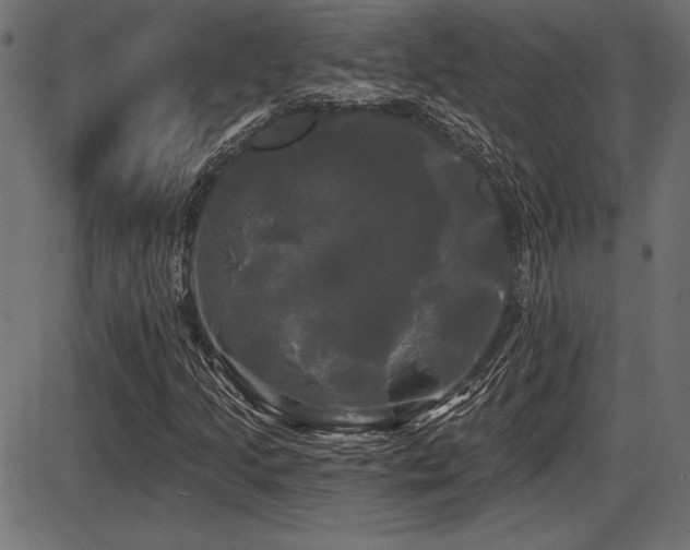 X0000087631205200705031437