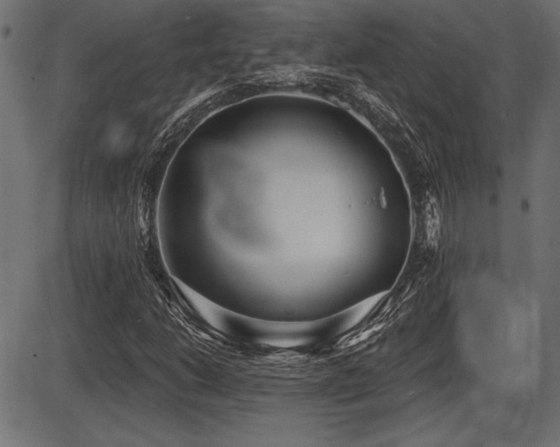 X0000087631206200705031437