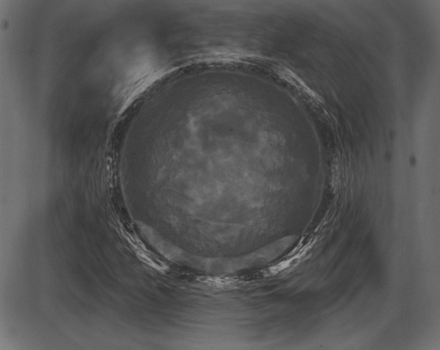 X0000087631208200705031437