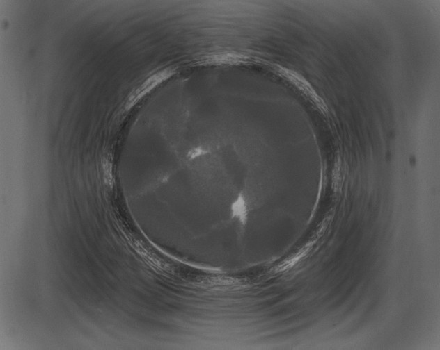 X0000087631209200705031437