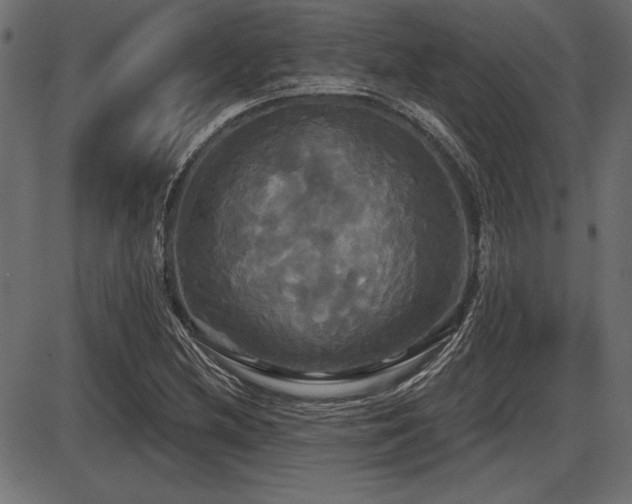 X0000087631212200705031437