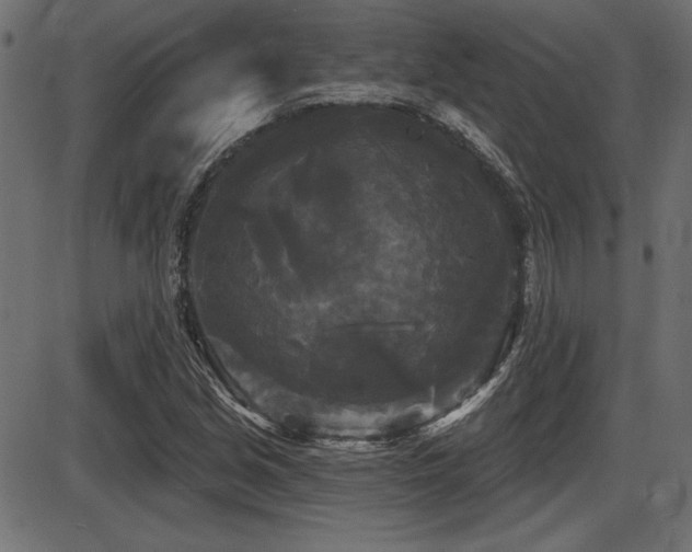X0000087631213200705031437