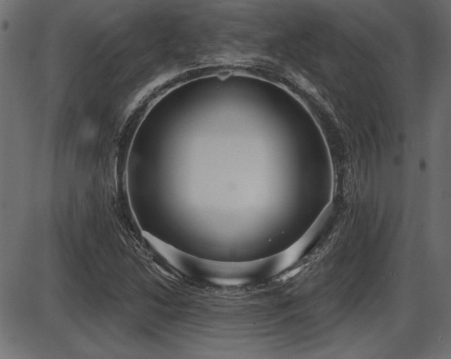 X0000087631214200705031437
