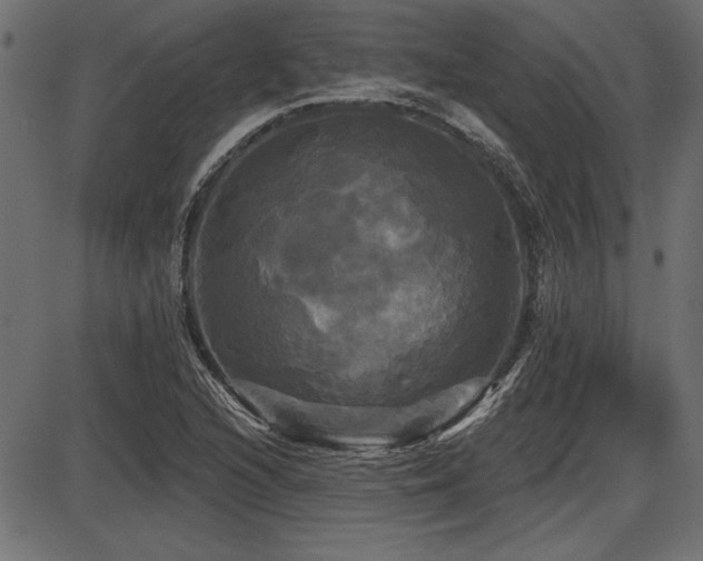 X0000087631216200705031437