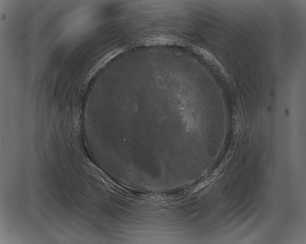 X0000087631217200705031437