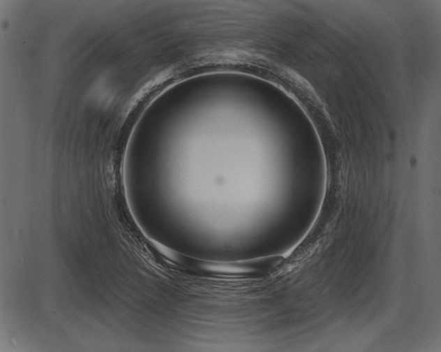 X0000087631218200705031437
