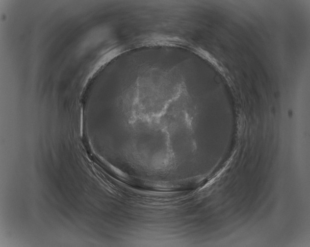X0000087631219200705031437