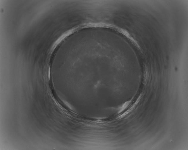 X0000087631221200705031437