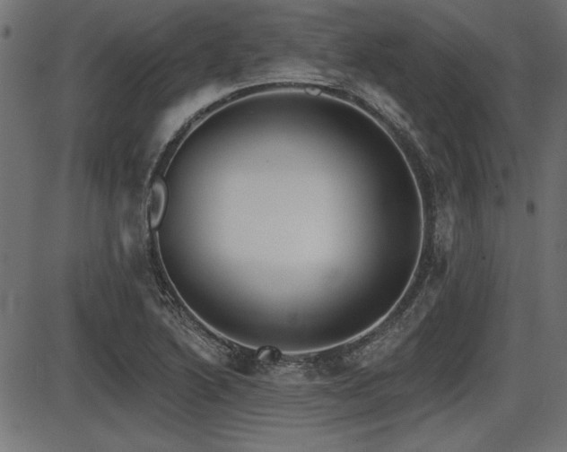 X0000087631222200705031437