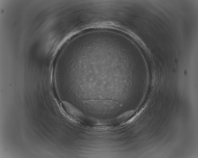 X0000087631224200705031437