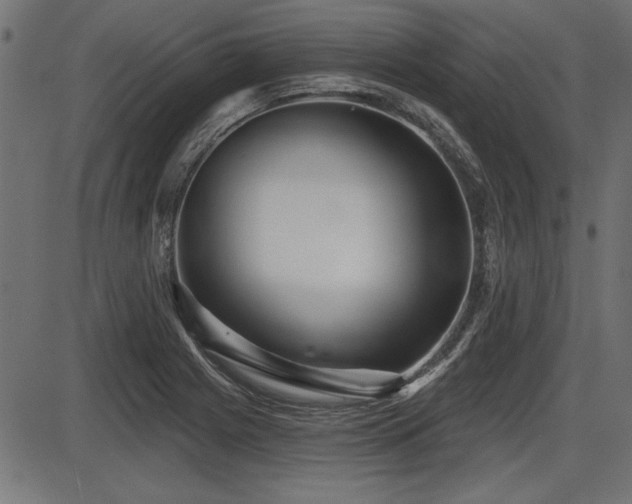 X0000087631225200705031437