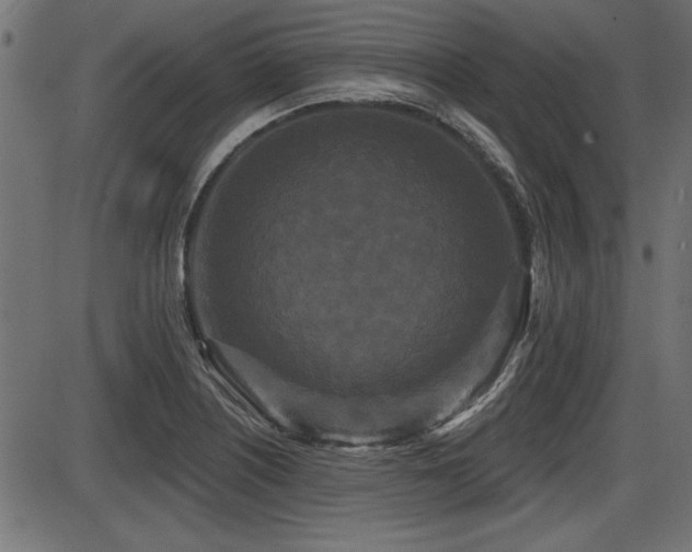 X0000087631226200705031437