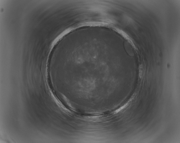 X0000087631229200705031437