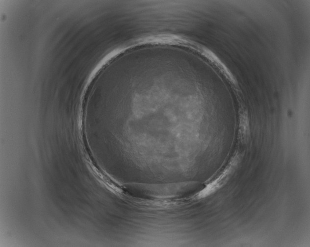 X0000087631232200705031437