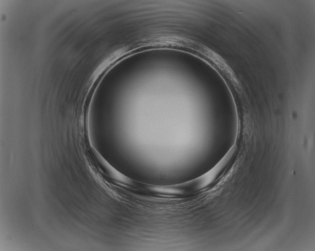 X0000087631234200705031437