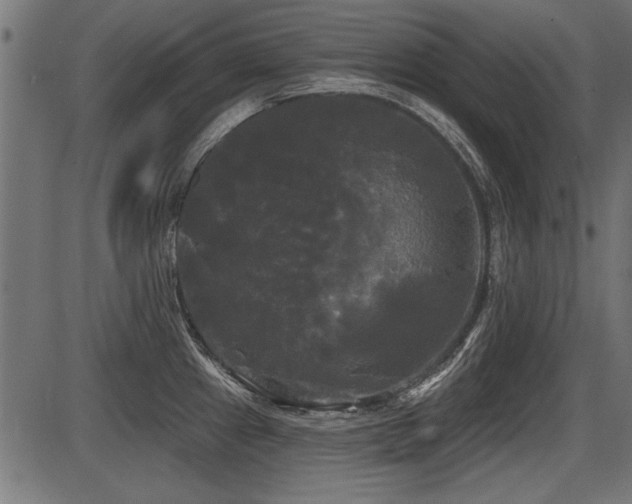 X0000087631241200705031437