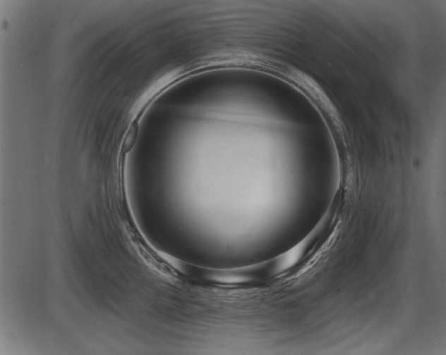 X0000087631242200705031437