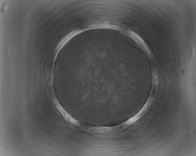 X0000087631244200705031437