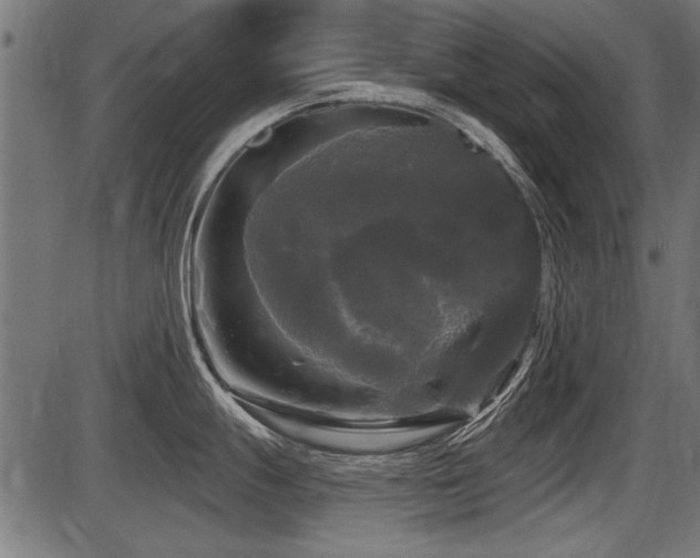 X0000087631247200705031437