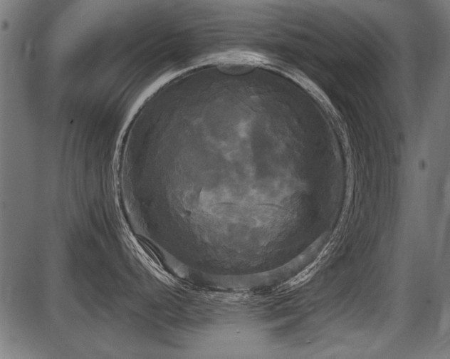 X0000087631248200705031437