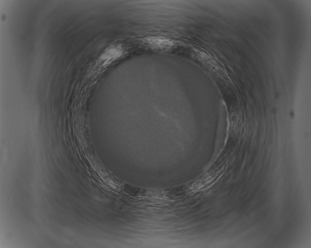 X0000087631249200705031437