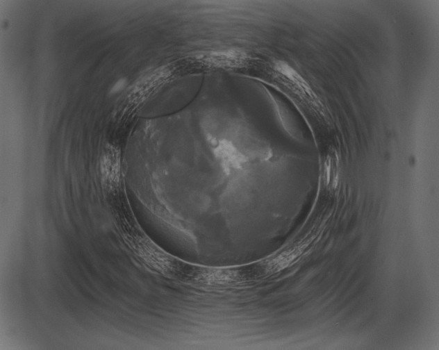 X0000087631251200705031437