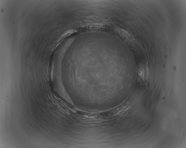 X0000087631252200705031437