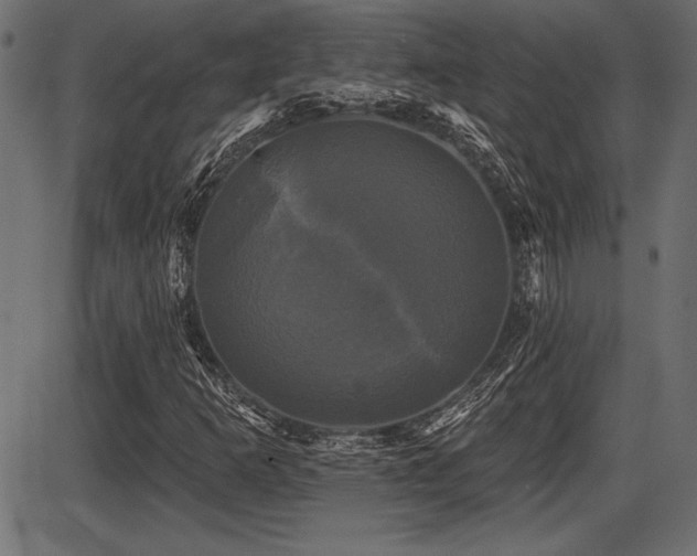 X0000087631253200705031437