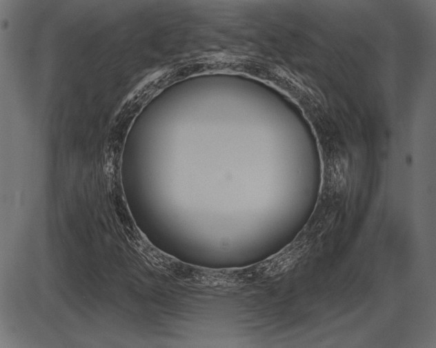X0000087631254200705031437