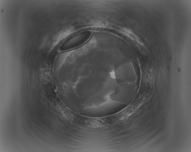 X0000087631255200705031437