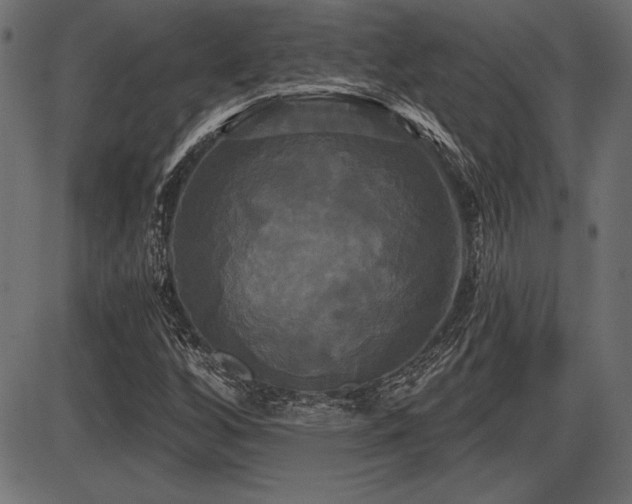 X0000087631256200705031437