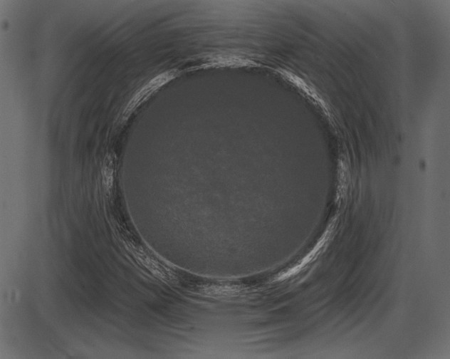 X0000087631257200705031436