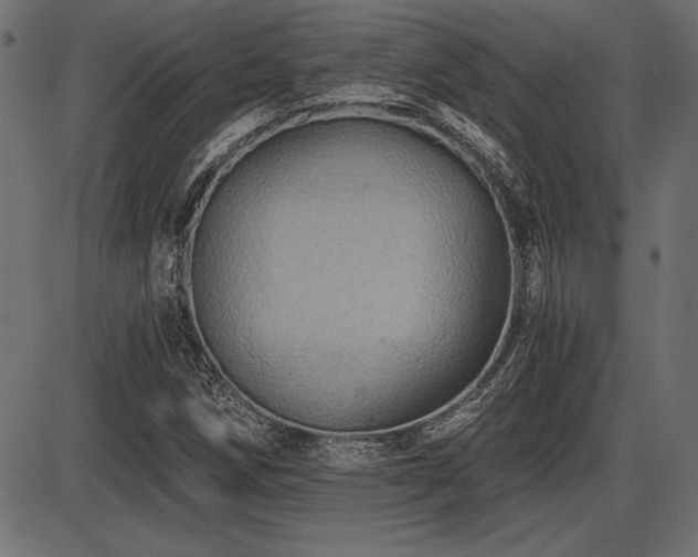 X0000087631258200705031436