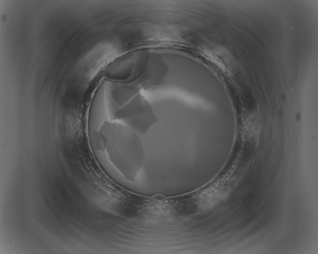 X0000087631259200705031436