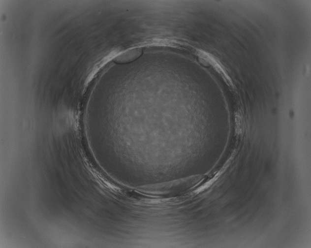 X0000087631260200705031436