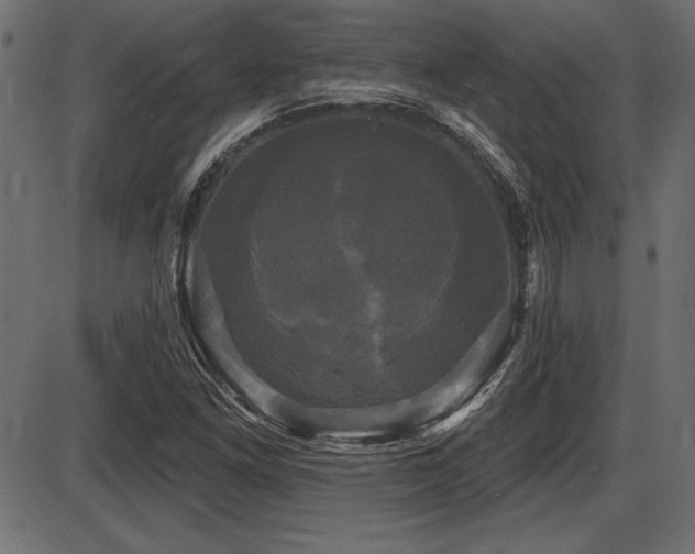 X0000087631261200705031436