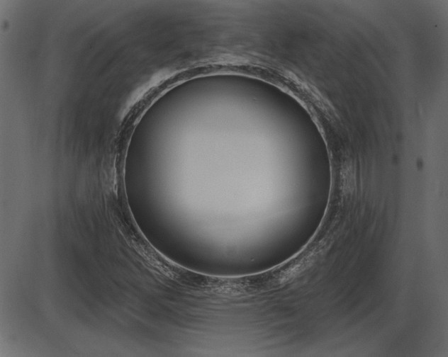 X0000087631262200705031436