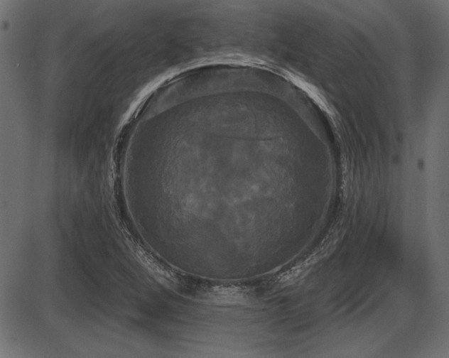 X0000087631264200705031436