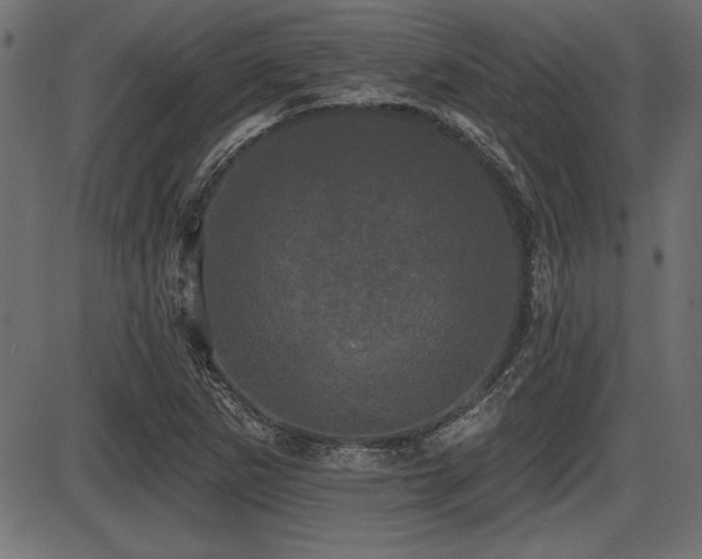 X0000087631265200705031436