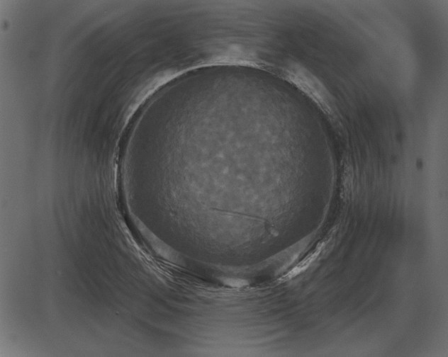 X0000087631268200705031436