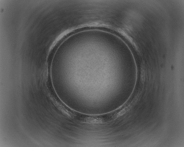 X0000087631270200705031436