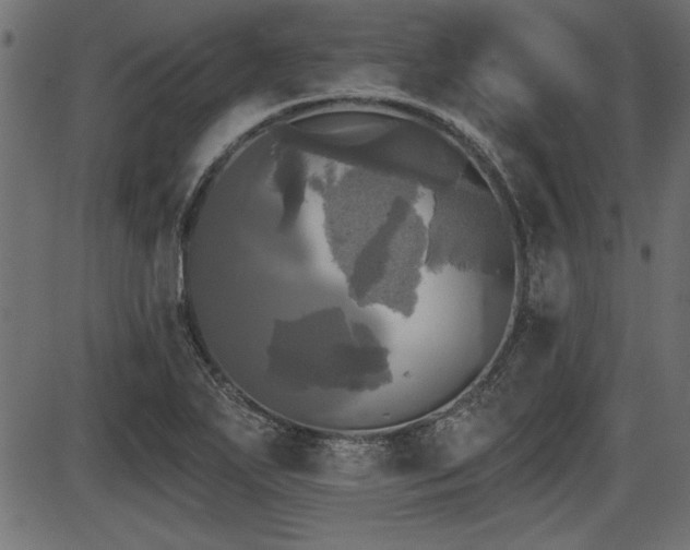 X0000087631271200705031436