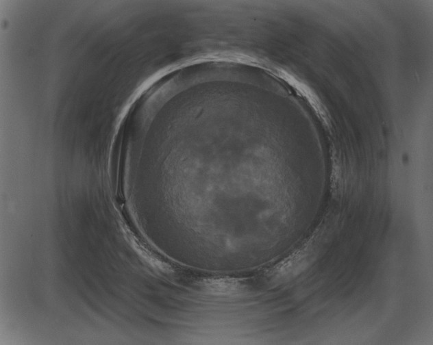 X0000087631272200705031436